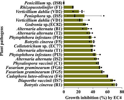 A biofertilizing fungal endophyte of cranberry plants suppresses the plant pathogen Diaporthe